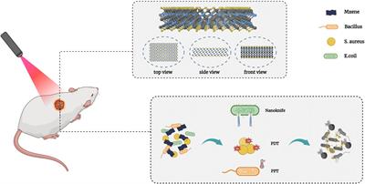 MXene: A wonderful nanomaterial in antibacterial